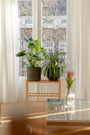 Medium property photo - Legmeerstraat, 1058 NE Amsterdam